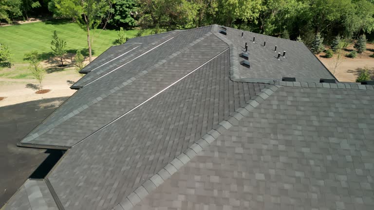 Best Solar Panel Roofing Installation  in Reston, VA